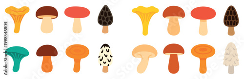 Fungus icons with chanterelle morel porcini colorful