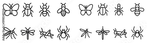 Insect icons with butterfly bee ant outline