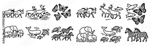 Wildlife icons with elephant zebra butterfly outline