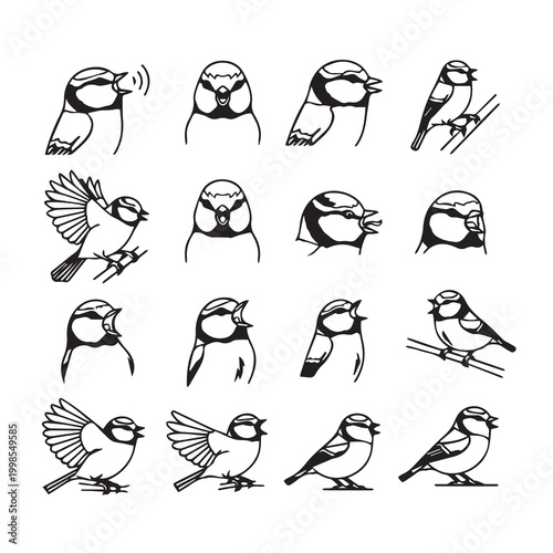 Collection of blue tit bird illustrations in various poses and expressions for design