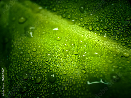 Water droplets are scattered across a vibrant green leaf. The droplets vary in size, creating a textured effect that highlights the leaf's natural surface. 