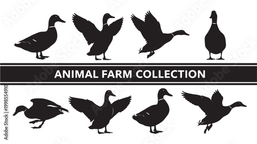 Animal farm collection banner with black bird and duck silhouettes and bold title text for premium vector style featuring goose silhouette, pigeon,
