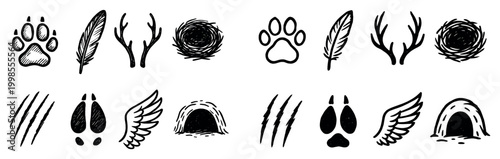 Wildlife icons with paw feather nest sketch