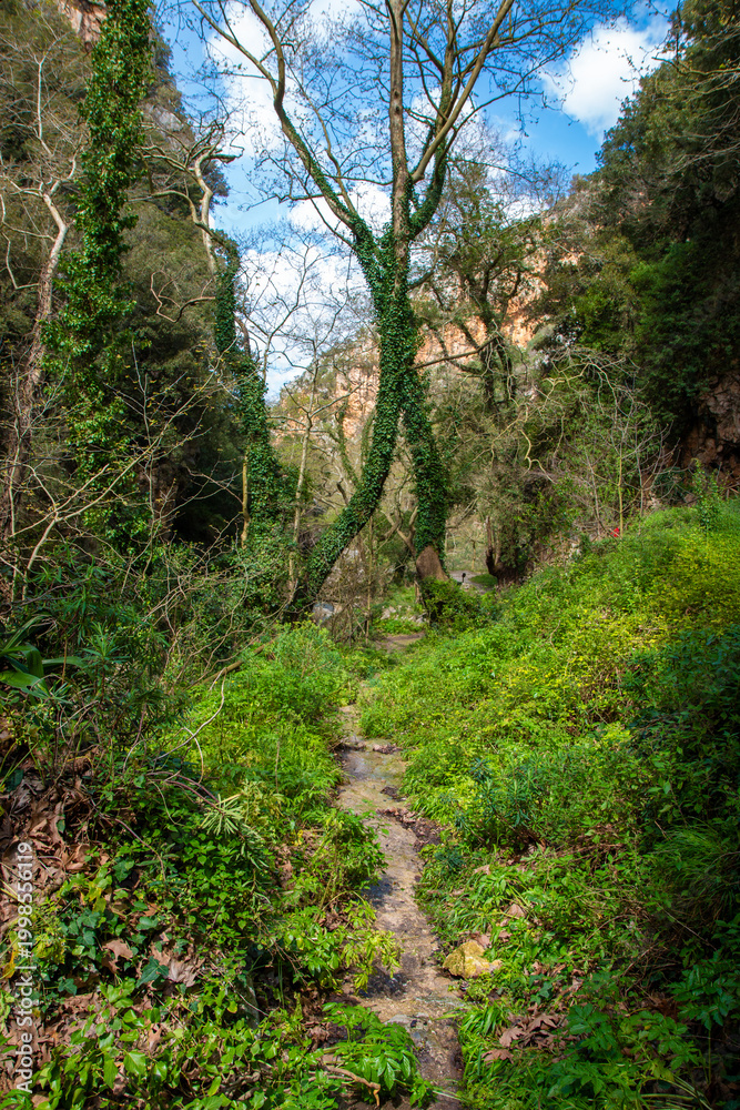 Fototapeta premium landscape at Patsos Gorge Agios Antonios Crete (Kreta) Greece