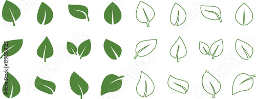 Collection of green tea leaves a botanical study in silhouette and detail