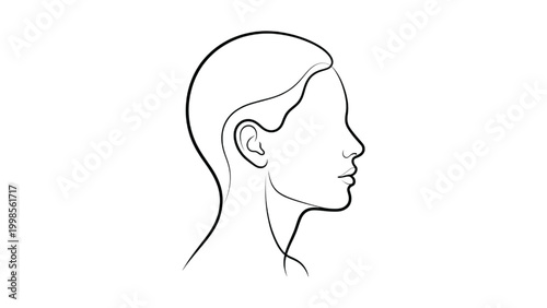 Conceptual outline illustration of a human head in profile, detailing the ear and neck structure