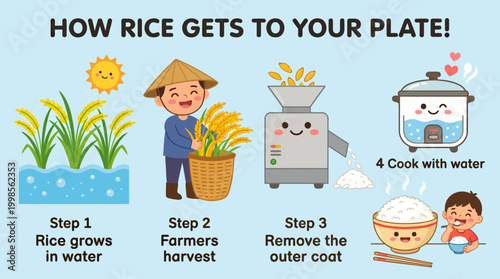 A whimsical illustration detailing the journey of rice from the field to a delicious meal