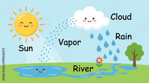 Cute cartoon illustration of the water cycle explaining evaporation condensation and precipitation