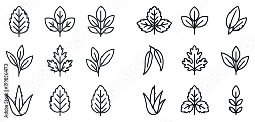 Leaf icons with sprig branch foliage simple outline