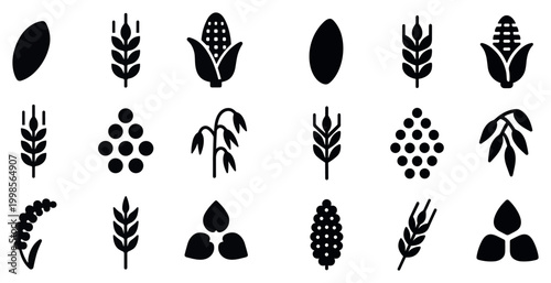 Agriculture icons with wheat seed corn silhouette minimal