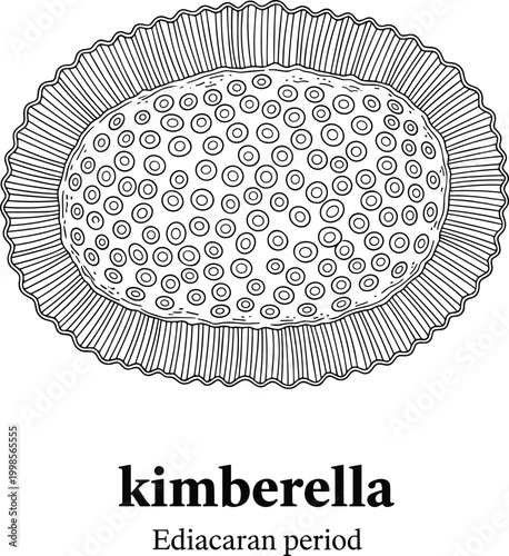 Kimberella from Ediacaran period, black and white line drawing.