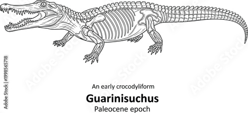 Anatomy of Guarinisuchus early crocodiliform Paleocene epoch fossil.