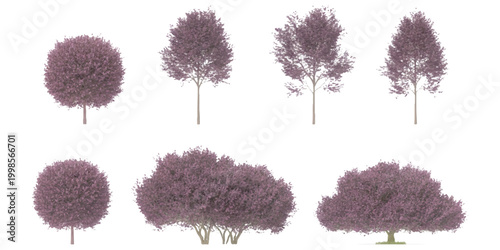 Set of various green trees and bushes silhouettes for landscape design and architectural plans