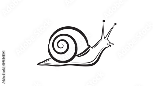 Snail black line art illustration with spiral shell and elongated body in minimalist hand drawn style isolated on light background.