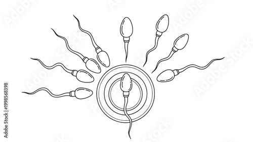 Sperm cells swimming toward egg cell in simple black outline style, depicting human fertilization and reproductive biology concept.