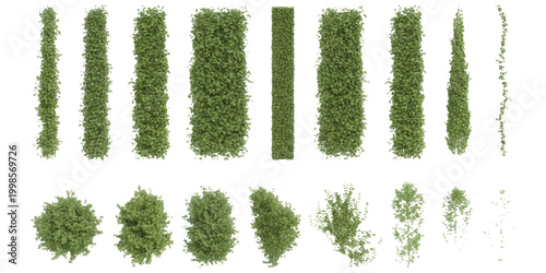Set of green grass and bush texture brushes and shapes for garden and landscape design