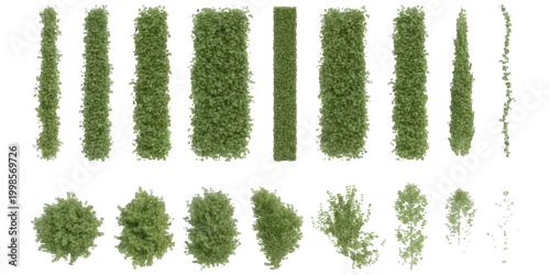 Obraz Set of green grass and bush texture brushes and shapes for garden and landscape design