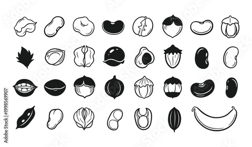 Black and white of various seeds and nuts in different shapes beans