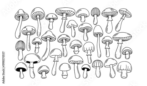 Collection of black and white hand-drawn mushrooms in various shapes and sizes
