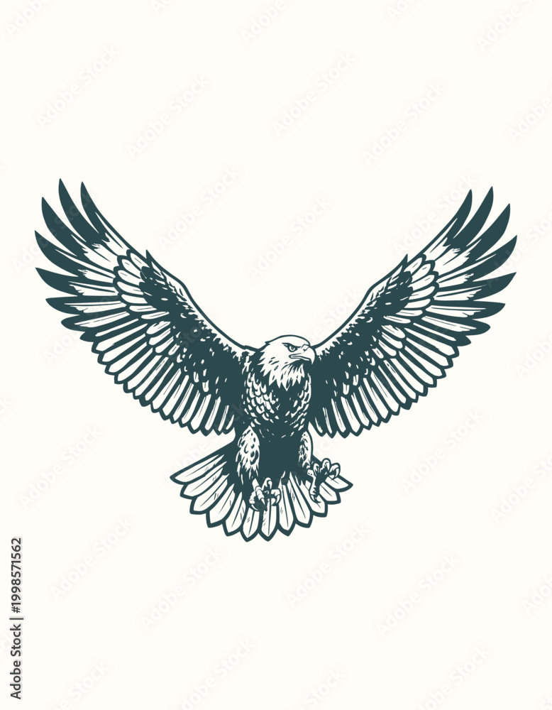 Obraz premium Vintage Style Bald Eagle Illustration with Spread Wings
