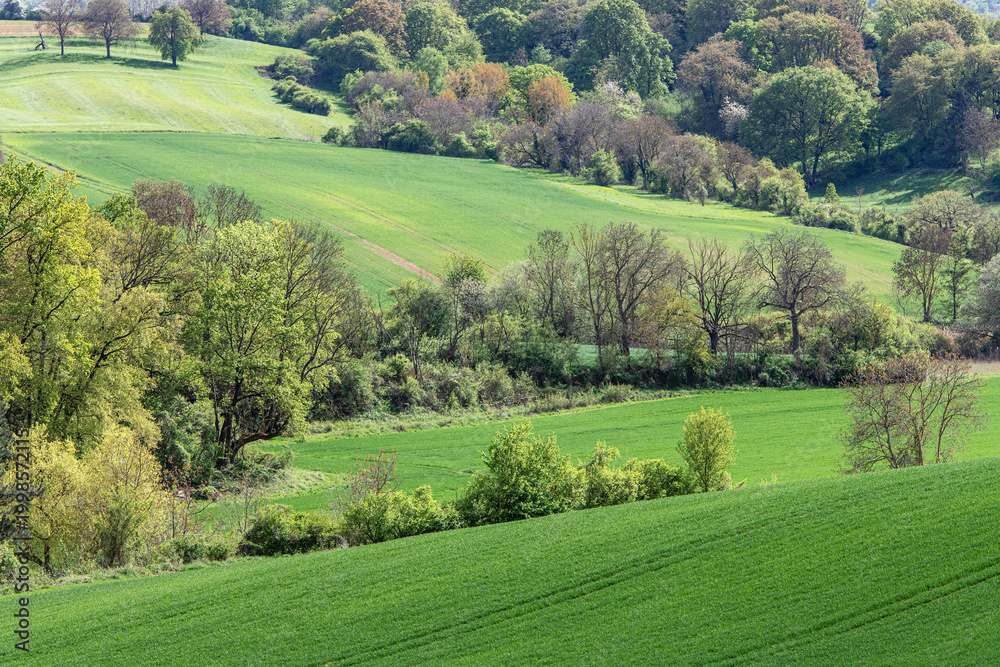 Naklejka premium Kulturlandschaft im Frühling.