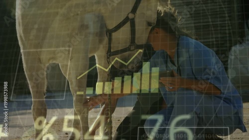 Female vet kneeling by horse, touching foreleg and initiating HUD collecting graphs for limb health