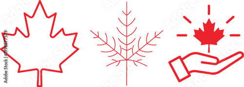 Canada day celebration vibrant maple leaf designs for national pride