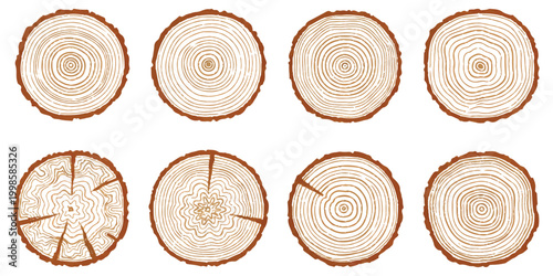 Set of eight tree rings showing wood grain texture and cross section of log trunks