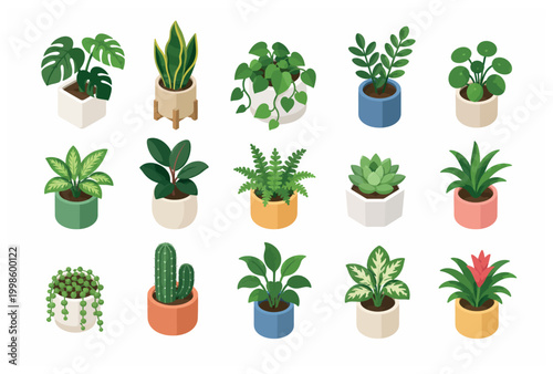 Collection of various potted plants and succulents.