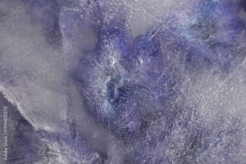 Smoke soft focus blue, violet flower petal through glass with frozen ice. Abstract natural blur wet background.