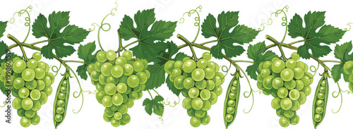 Green grape clusters with leaves and pea pods forming decorative repeating natural pattern in colorful vector illustration