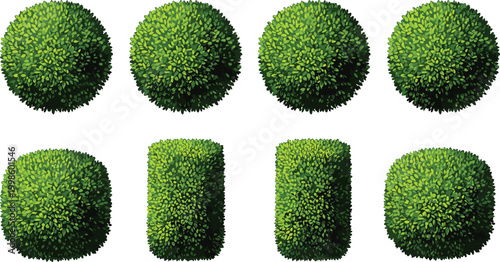 Cartoon trimmed bushes shaped as spheres and cubes showing geometric topiary landscaping designs in colorful vector illustration