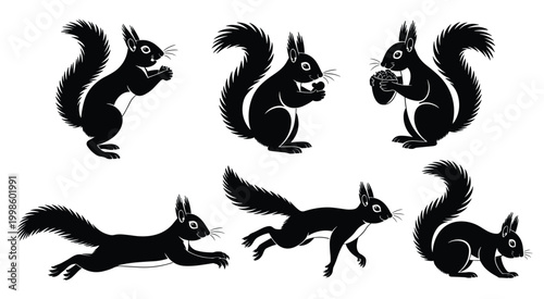 Black Squirrel Silhouettes with Nuts and in Motion