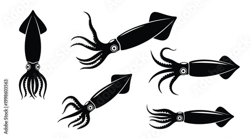 Set of Black and White Squid Illustrations in Different Orientations