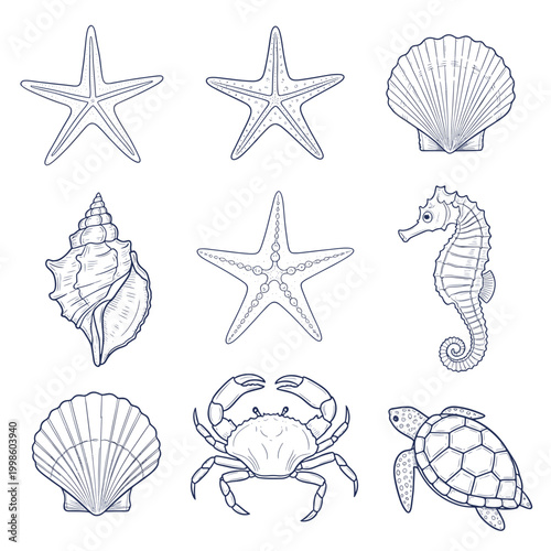 Nautical Line Art Set Sea Creatures Shells and Starfish