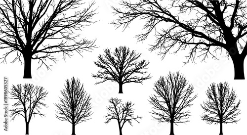 Collection of diverse black silhouette trees against a white background representing a forest or woodland scene