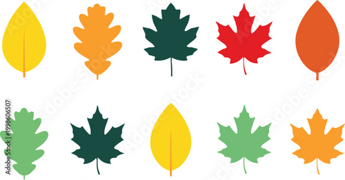 Canada day maple leaf collection vibrant colors for national celebration