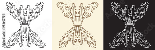 Graphic baroque design element set in three colors vector