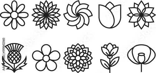 Floral icons set isolated on transparent background