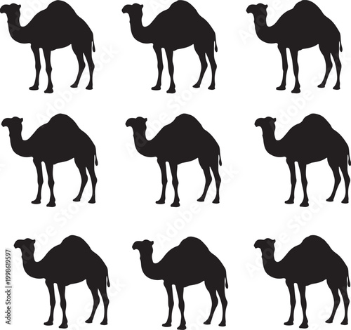A simple vector set of camel silhouettes with various animal shapes in black style