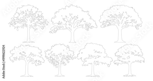 Minimalist tree line art collection, set of 7 deciduous tree vector outlines, simple black and white botanical sketches for architectural site plans