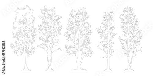 Tableau sur toile Minimalist tree line art vector set, 5 architectural tree outlines for landscape