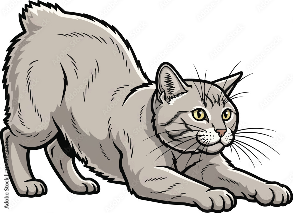 Obraz premium Cymric cat crouching alert attentive pounce stance illustration