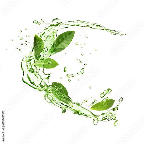 Leaf with water splash.eps