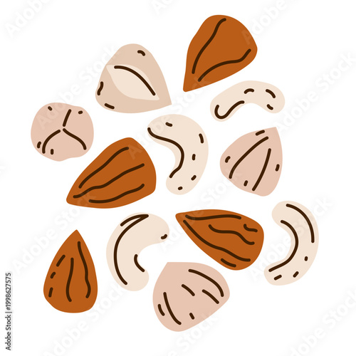 Nut mix set with almond, hazelnut and cashew. Healthy snack icons for organic food packaging, vegan recipe blog, or kitchen menu decor.