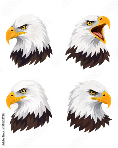 Set of four distinct bald eagle head expressions featuring fierce raptor eyes and yellow beaks representing wild predatory birds for various creative projects needing powerful animal character