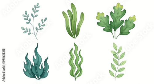 Watercolor leaf illustrations, green foliage, botanical vector graphics, plant elements, eco friendly icons