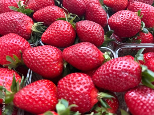 Fresh ripe strawberries in close-up macro composition