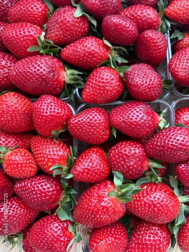 Fresh ripe strawberries in close-up macro composition