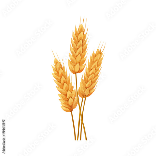 фотографія Clean 2D flat vector depiction of a Wheat, designed in minimalist modern style with white background
